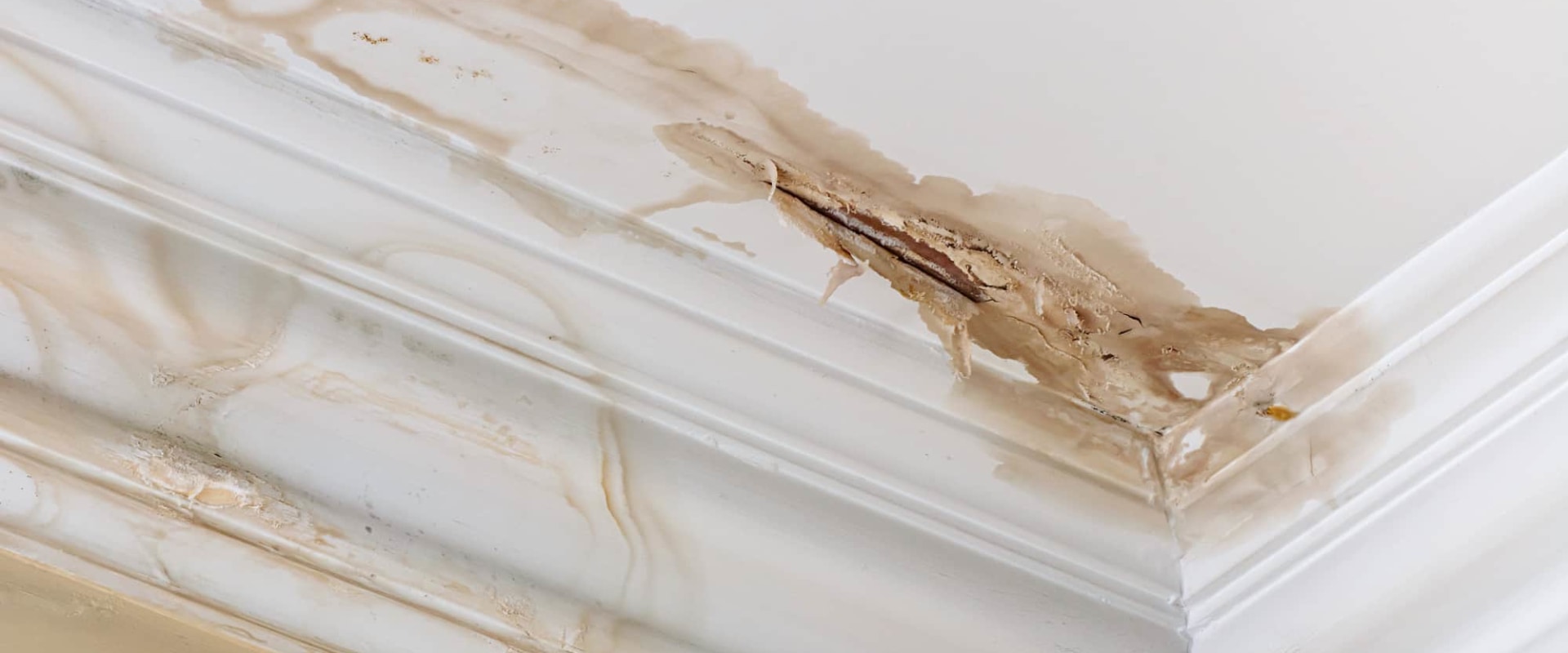 How Do Property Management Companies Repair Water Damage?