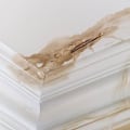 How Do Property Management Companies Repair Water Damage?