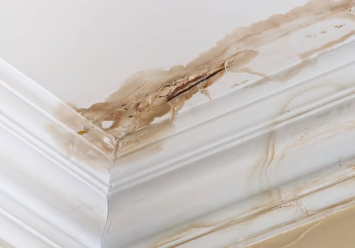 How Do Property Management Companies Repair Water Damage?